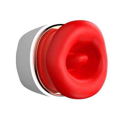 Pleasure Place 4-in-1 Vibrator - 10 Vibrations und Swing-Modi, 1 Saugfunktion, 10 Clamping-Modi