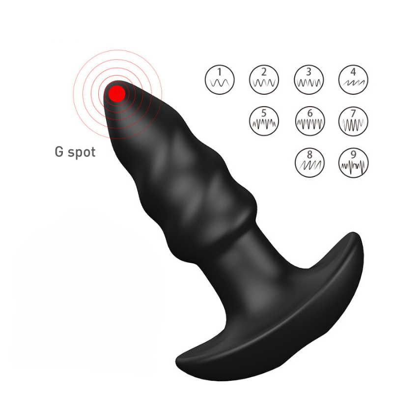 PLACE ME NOW - G Spot und vibrierender Butt Plug