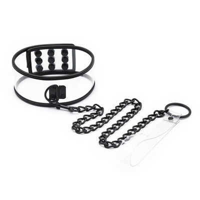 Clear CTRL Button Collar