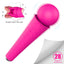 Surprise one - Wand Massager