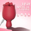 RO SIDE TWO - Mini Vibrator mit Rotation