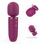 Surprise two - Wand Massager
