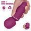 Surprise two - Wand Massager